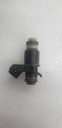 Injector, Fuel