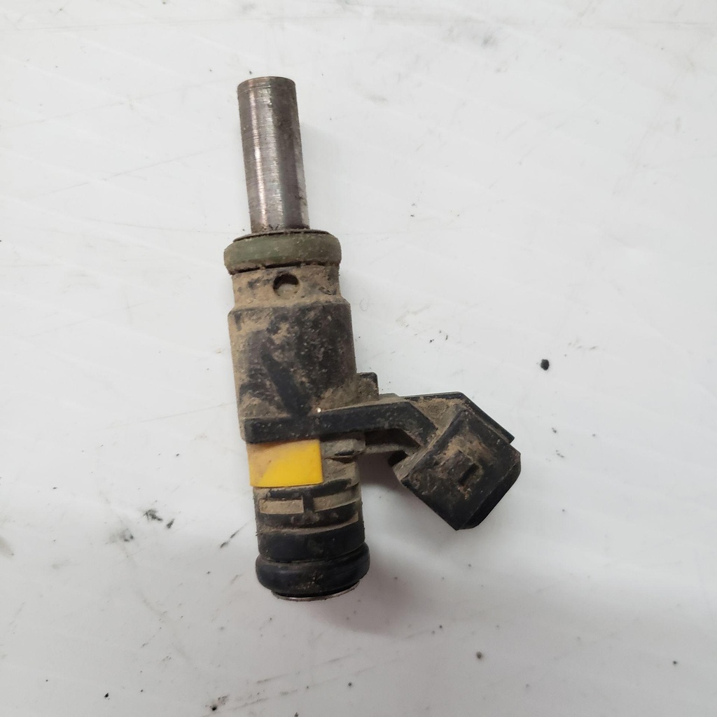 Injector, Fuel
