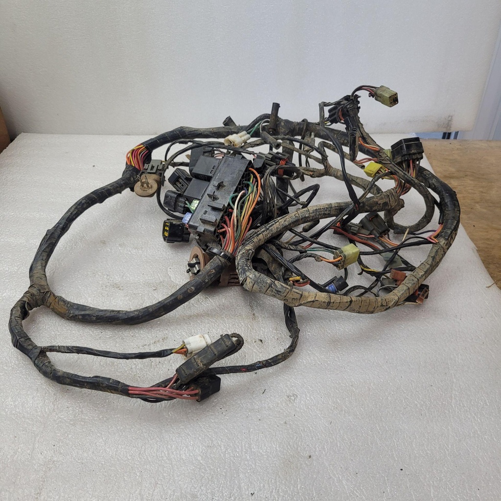 Harness, Main TRV650