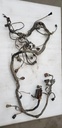 HARNESS/DIA,MAIN (09 H 05%