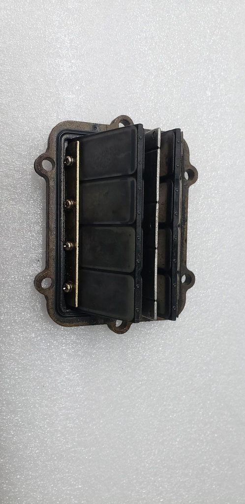 REED VALVE