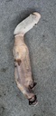 ASM-EXHAUST PIPE,TWIN