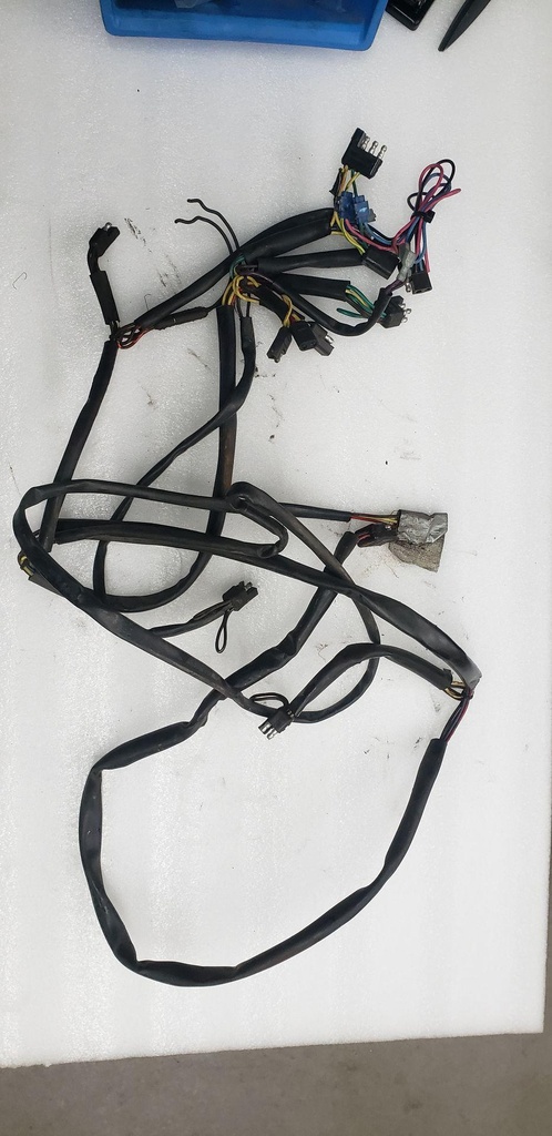 HARNESS, MAIN
