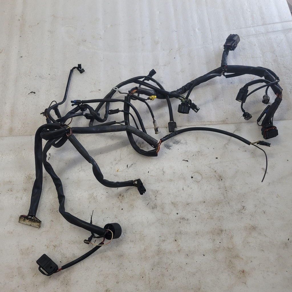 MAIN HARNESS