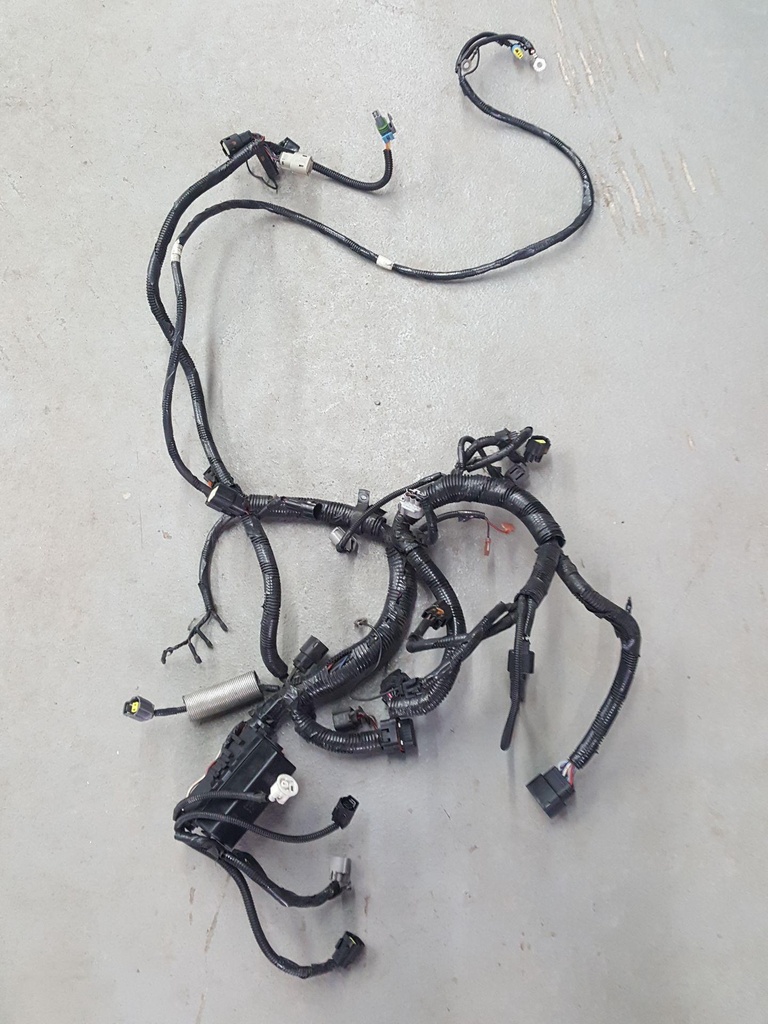 Harness, Main