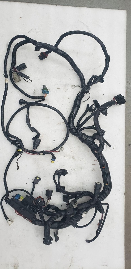 Harness, Main