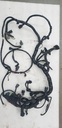 Harness, Main