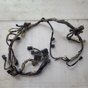 Wire Harness Assy