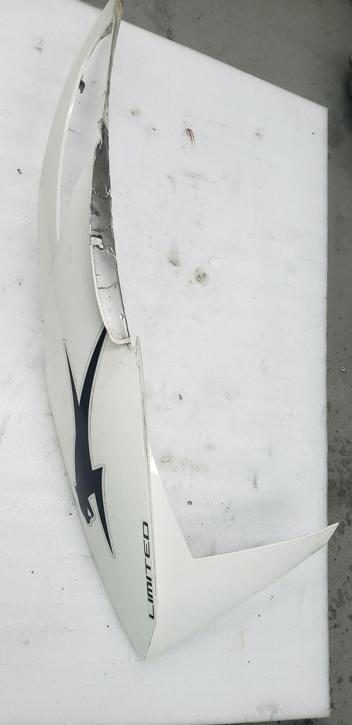 Hood w/Decals - Left - 05%