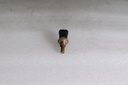 THEMISTER SENSOR