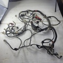 HARNESS-MAIN,550,X2