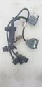 HOOD HARNESS