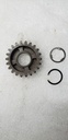 GEAR, 3RD DRIVEN (NT:2 05%