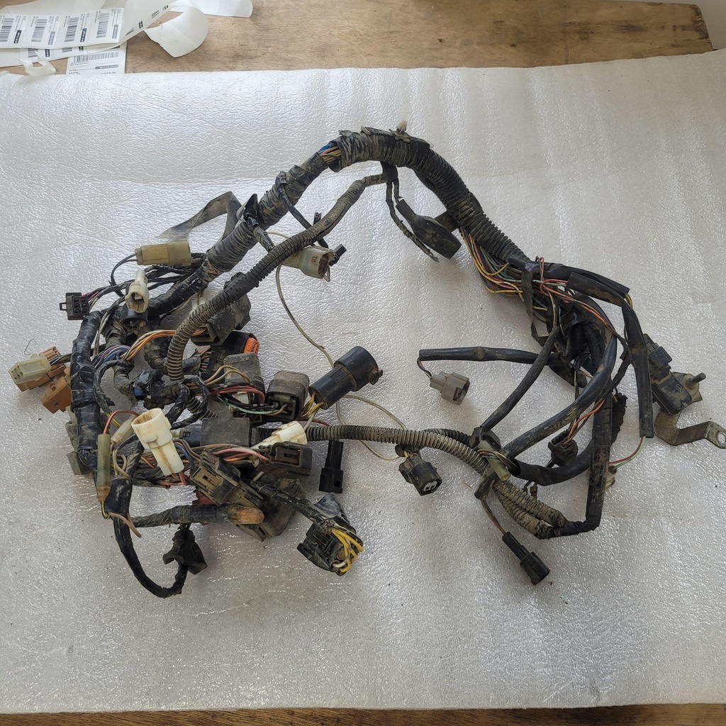 HARNESS,MAIN