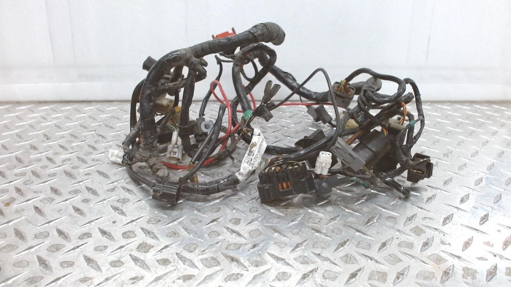 HARNESS,MAIN