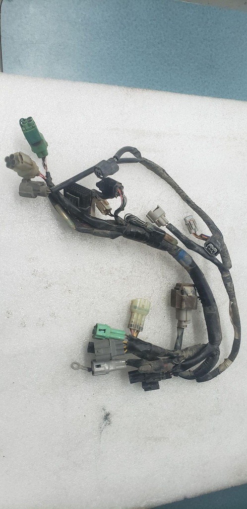 HARNESS,MAIN