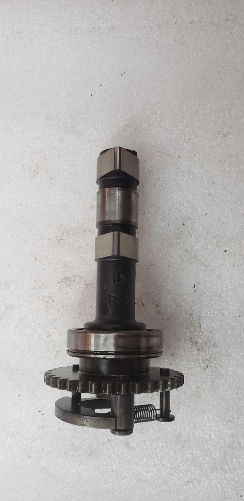Camshaft Assy 2