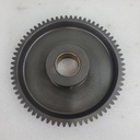Gear, Starter Clutch
