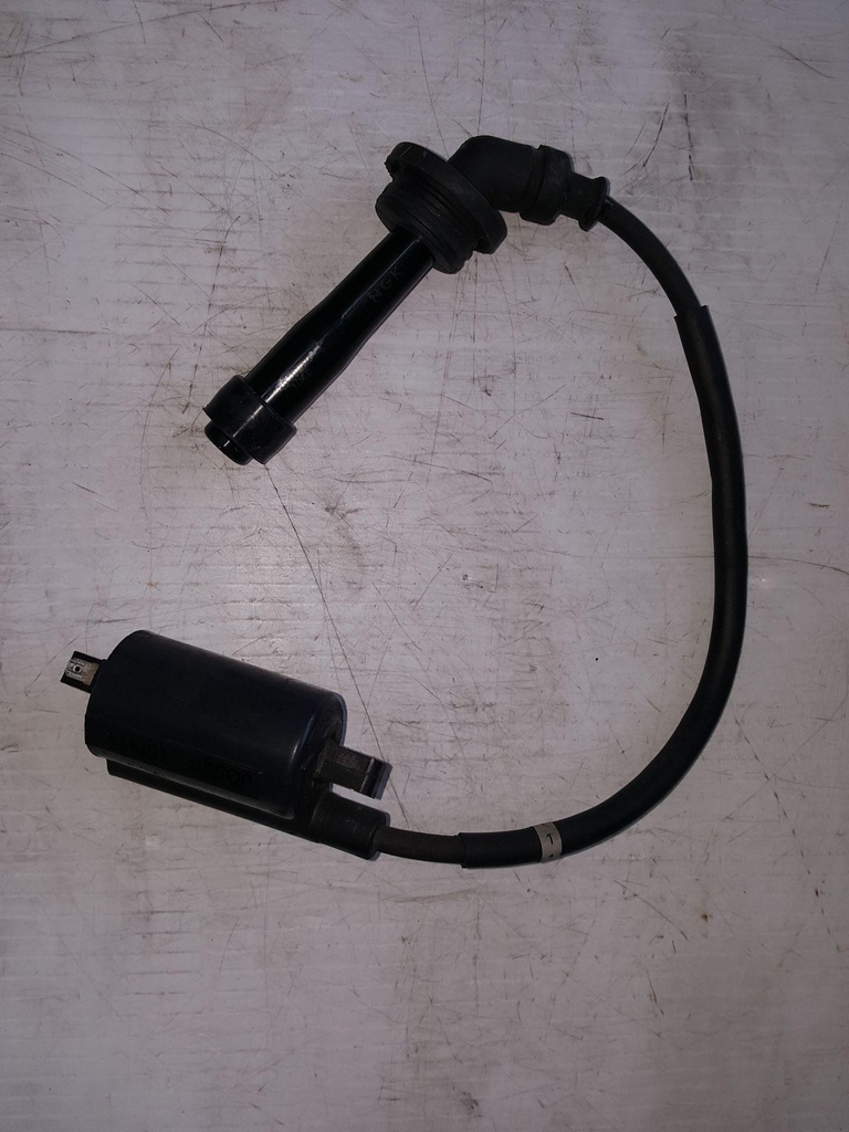 Coil, Ignition - Botto 05%
