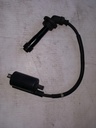 Coil, Ignition - Botto 05%