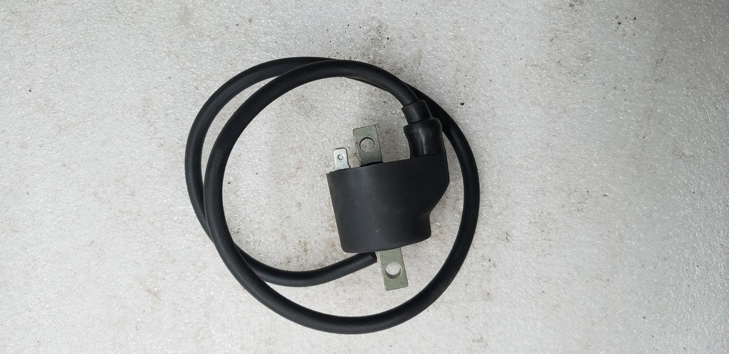 COIL INGNYTION SPM500