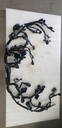 WIRE HARNESS