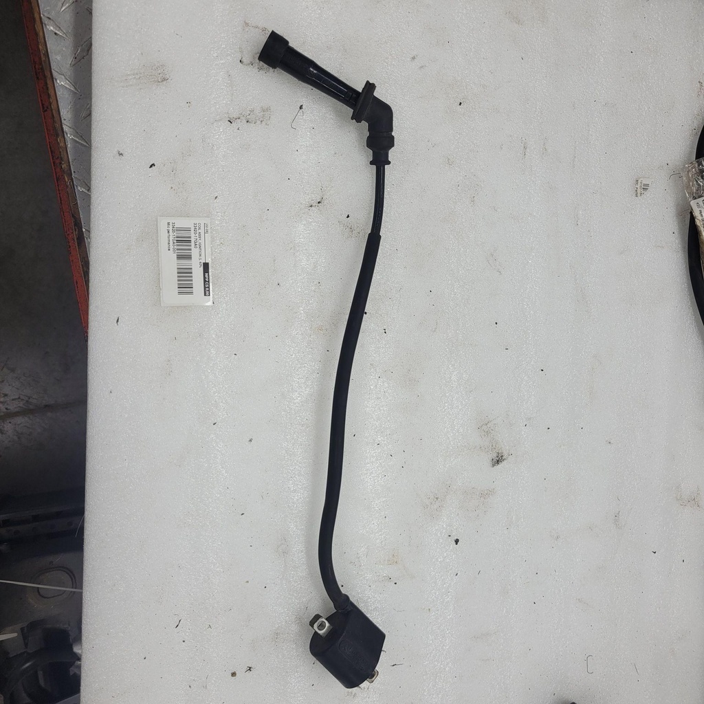 COIL ASSY, IGNITION (L 40%