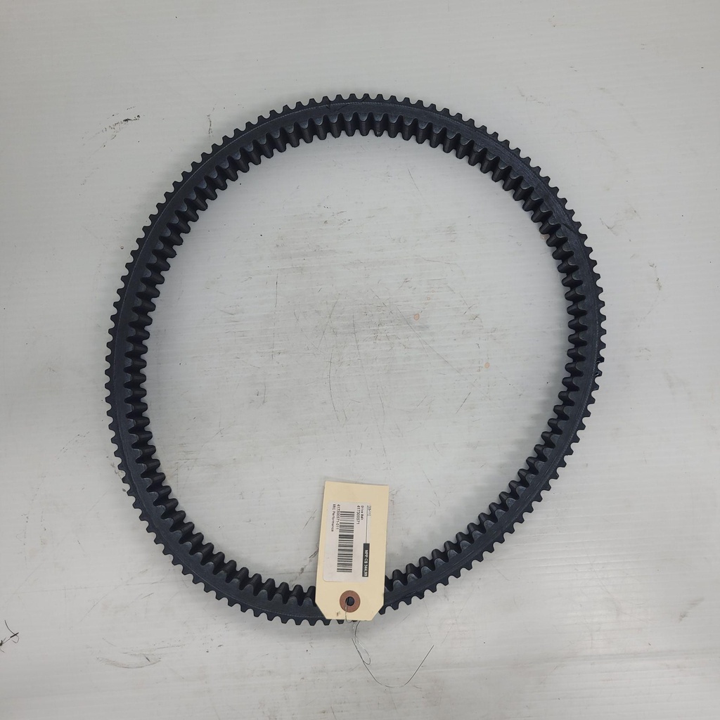 Drive Belt