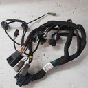Engine Wiring Harness