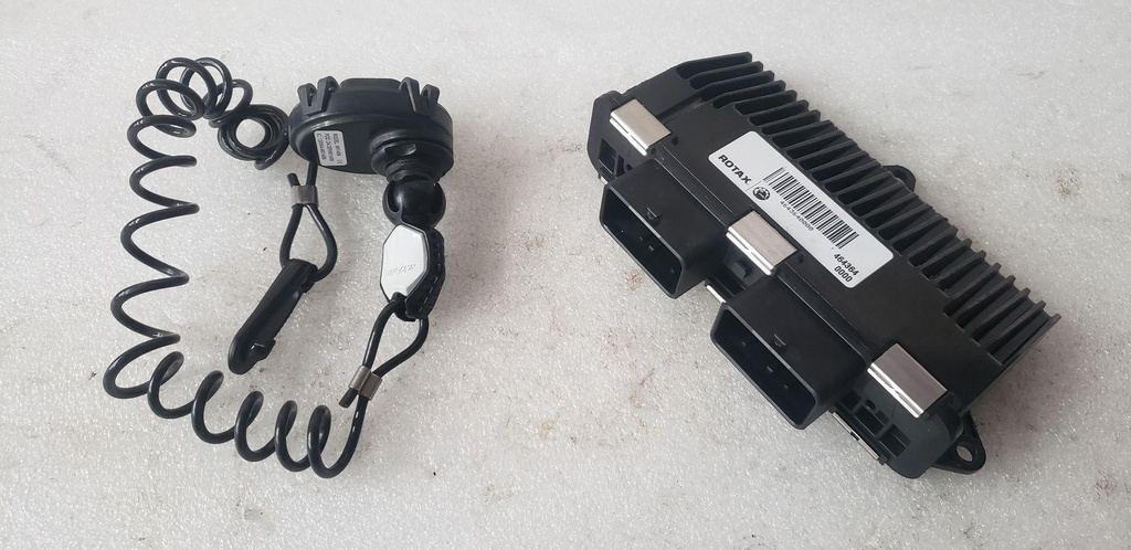 Electronic Module