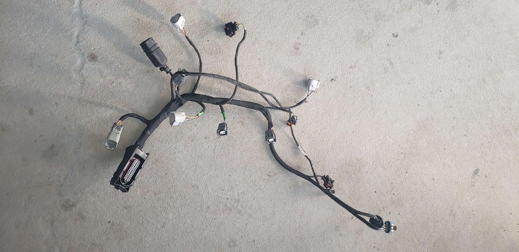 Engine Wiring Harness
