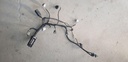 Engine Wiring Harness