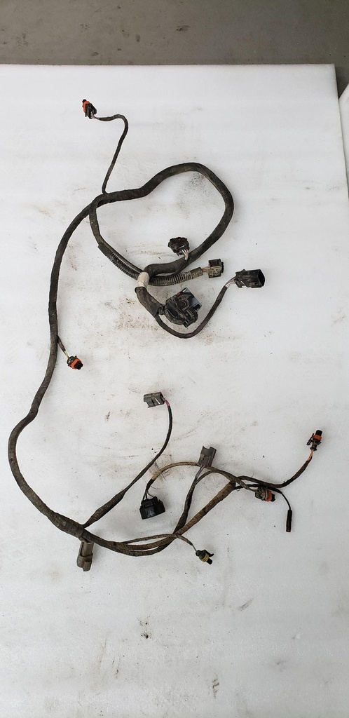 Engine Wiring Harness