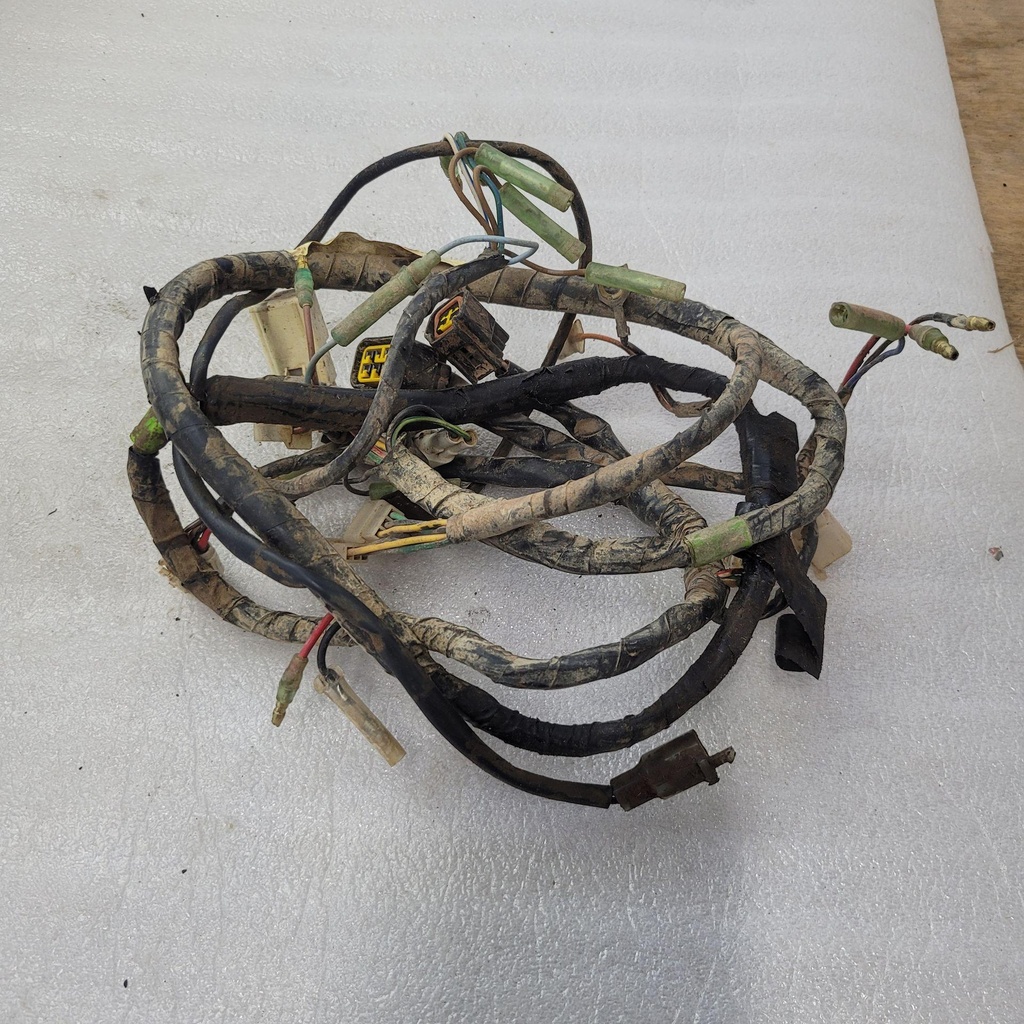 Yamaha WIRE HARNESS AS 30%