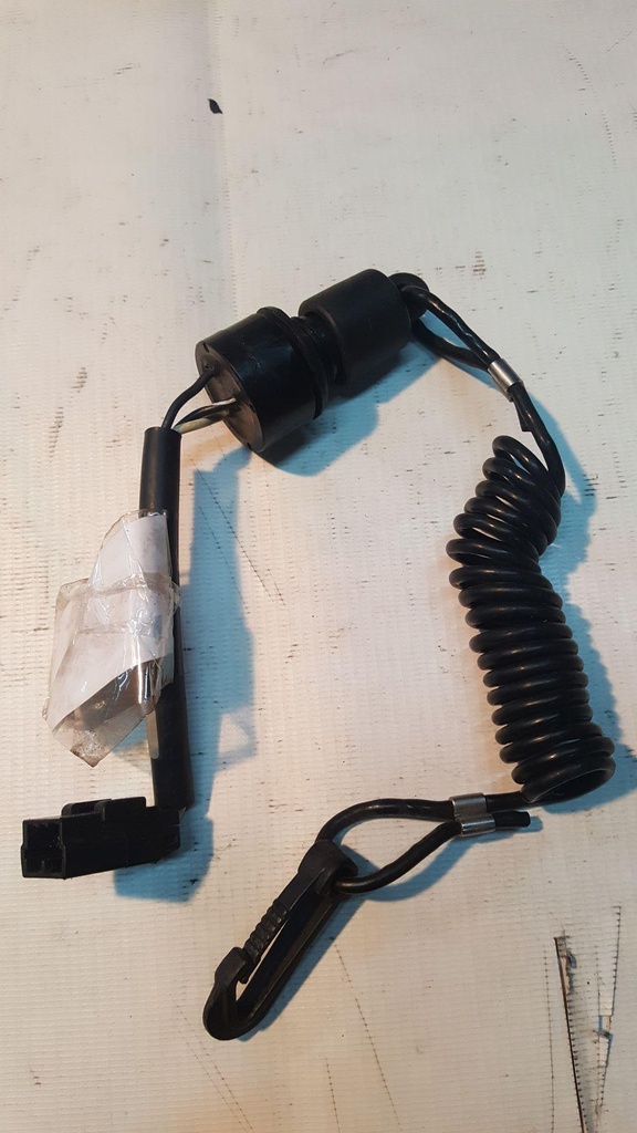 Ski-Doo DESS SWITCH - 515175797