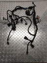 Chassis Wiring Harness
