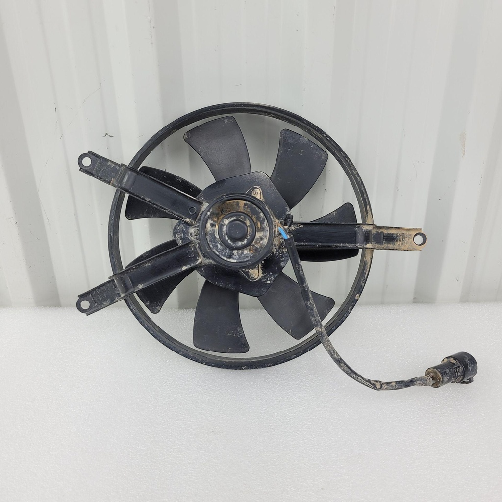 fan-assy