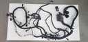 Wire Harness Assy - 8LJ-H2590-00-00 YAMAHA
