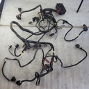 HARNESS ASS'Y - CAN-AM - 710004842
