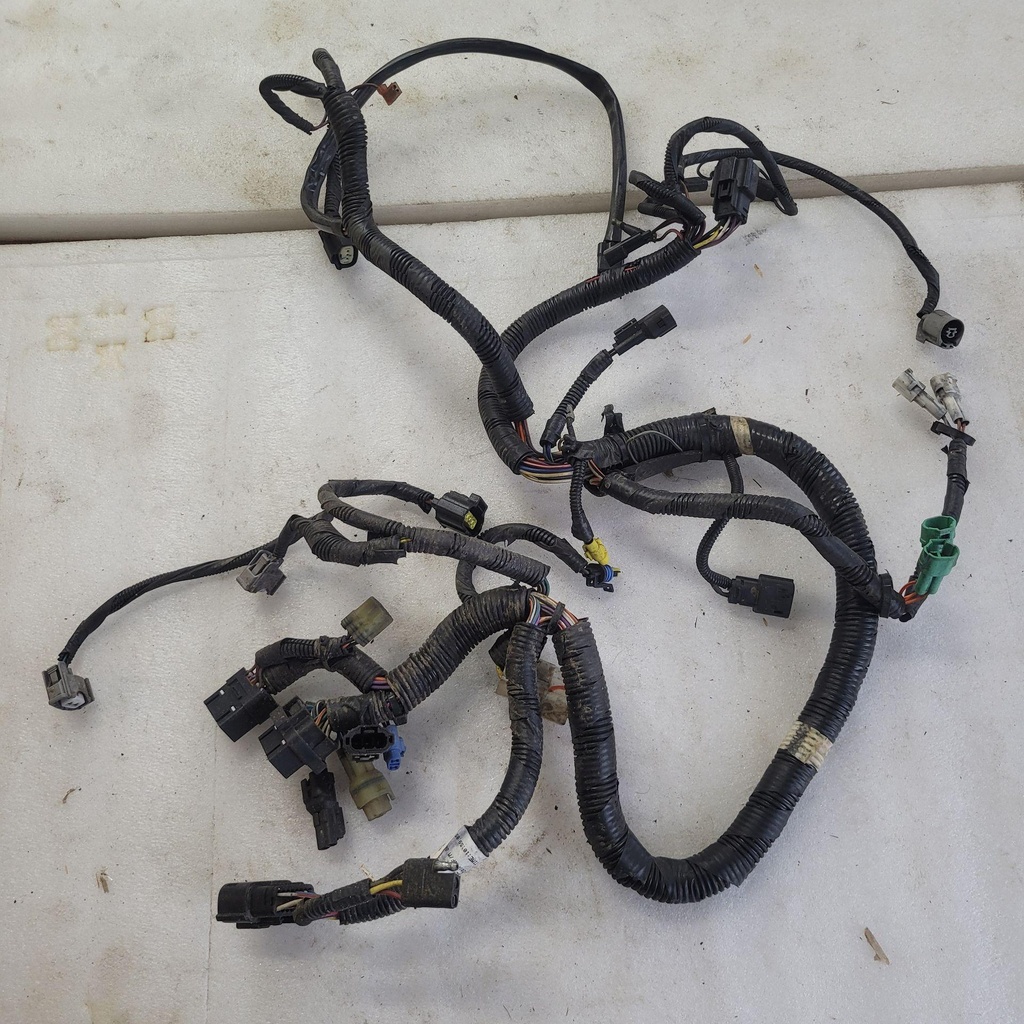 Main Harness M8