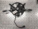 Blower Assy