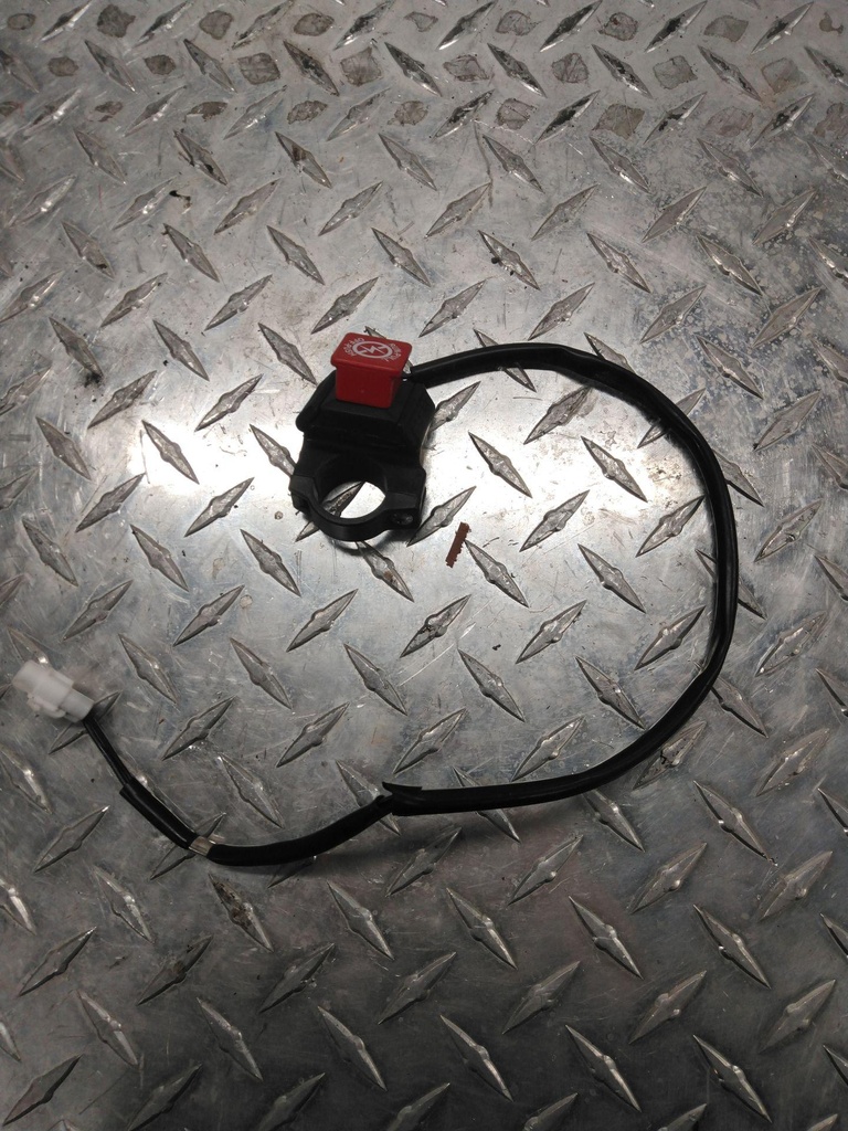 AUX SHUT OFF SWITCH ASSEMBLY