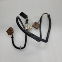BOX HARNESS