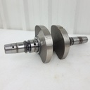 (new ref. 420219746) crankshaft xt, xtp