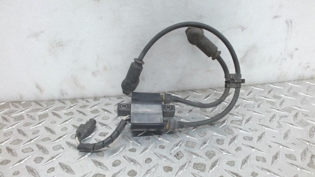 IGNITION COIL,INDY