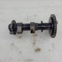 exhaust camshaft assembly