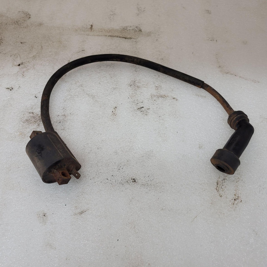 Ignition Coil Assy