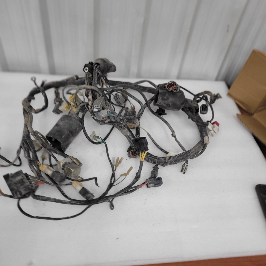 MAIN CABLE