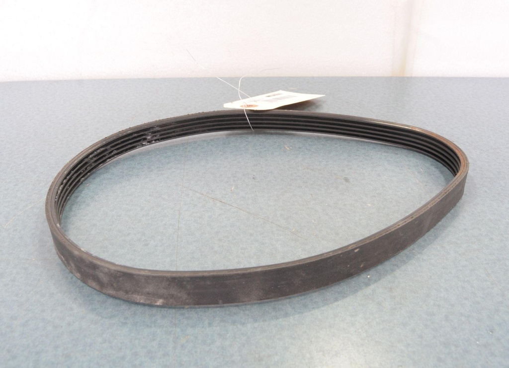 GENERATOR BELT