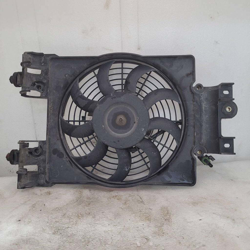 fan